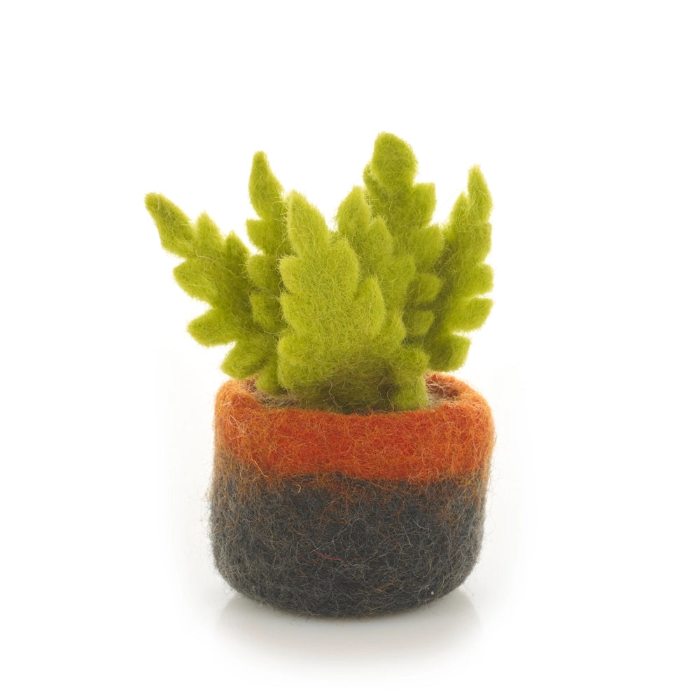 Felt Miniature Plant